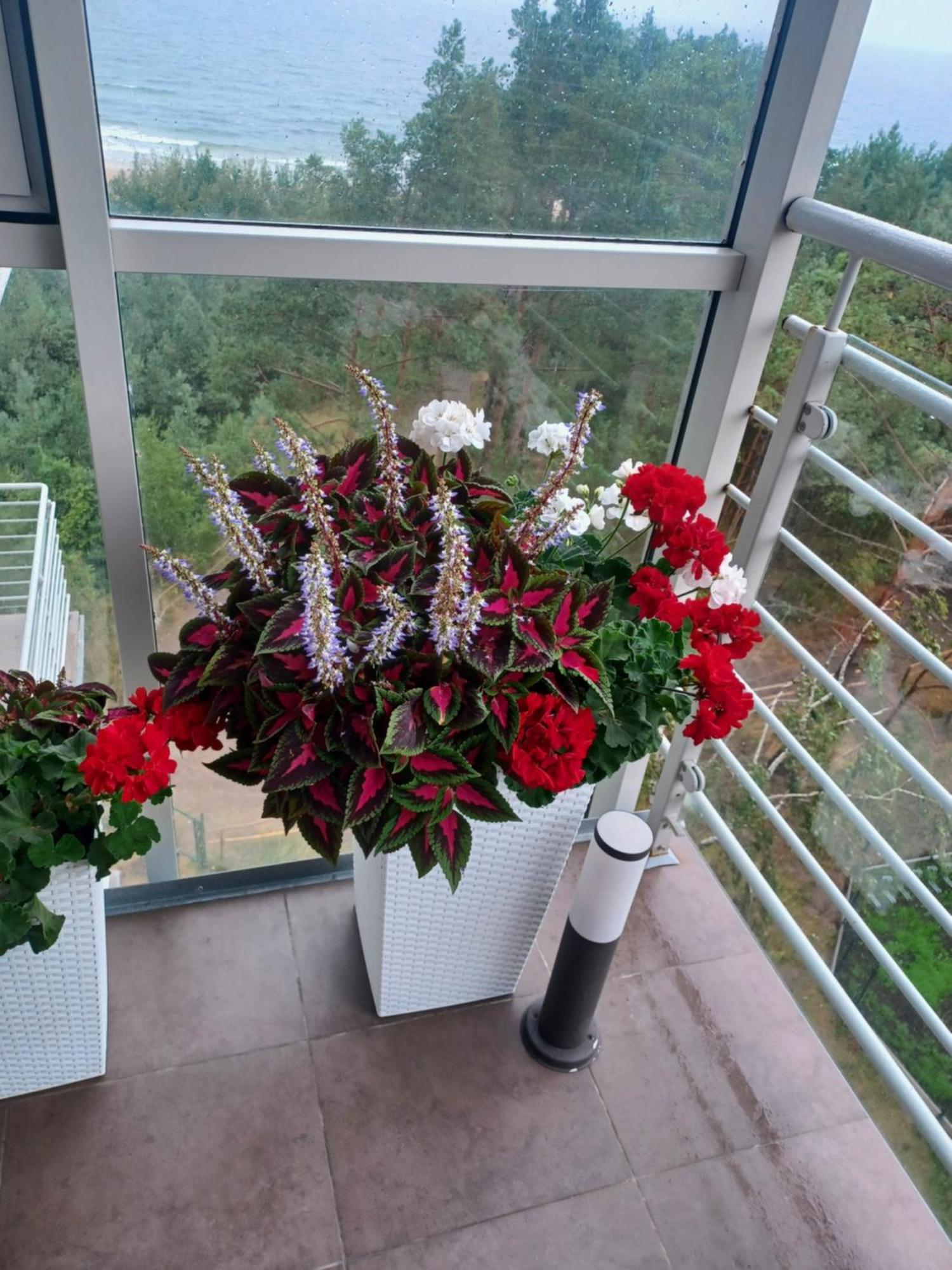 Apartament Z Widokiem Na Morze Dziwnówek Quarto foto