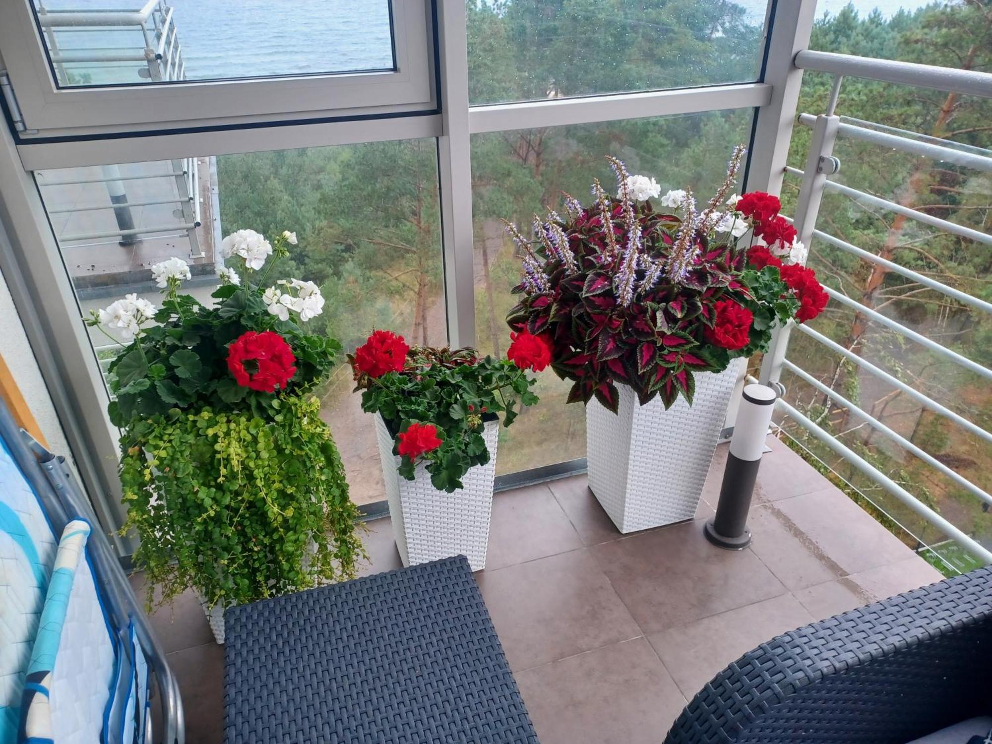 Apartament Z Widokiem Na Morze Dziwnówek Quarto foto